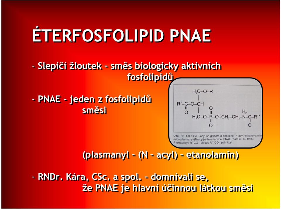 (plasmanyl (N acyl) etanolamin) - RNDr. Kára, CSc.