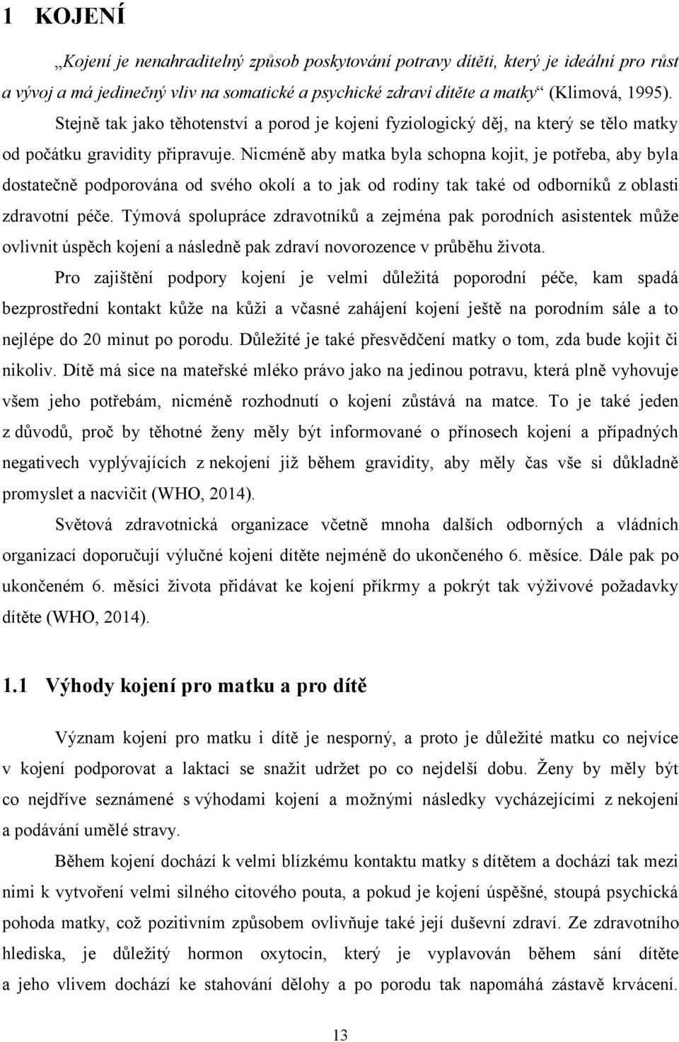 Nicméně aby matka byla schopna kojit, je potřeba, aby byla dostatečně podporována od svého okolí a to jak od rodiny tak také od odborníků z oblasti zdravotní péče.