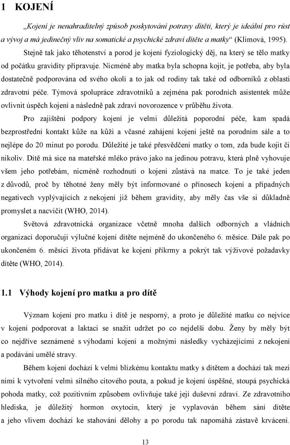 Nicméně aby matka byla schopna kojit, je potřeba, aby byla dostatečně podporována od svého okolí a to jak od rodiny tak také od odborníků z oblasti zdravotní péče.