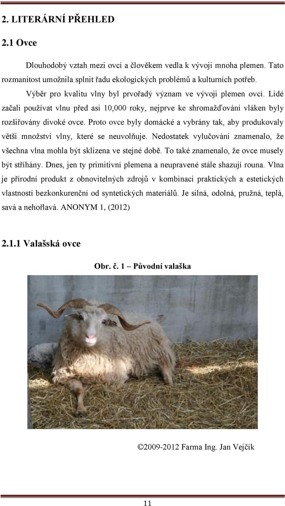 Proto ovce byly domácké a vybrány tak, aby produkovaly větší množství vlny, které se neuvolňuje. Nedostatek vylučování znamenalo, že všechna vlna mohla být sklízena ve stejné době.