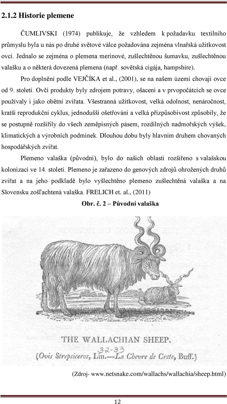 , (2001), se na našem území chovají ovce od 9. století. Ovčí produkty byly zdrojem potravy, ošacení a v prvopočátcích se ovce používaly i jako obětní zvířata.