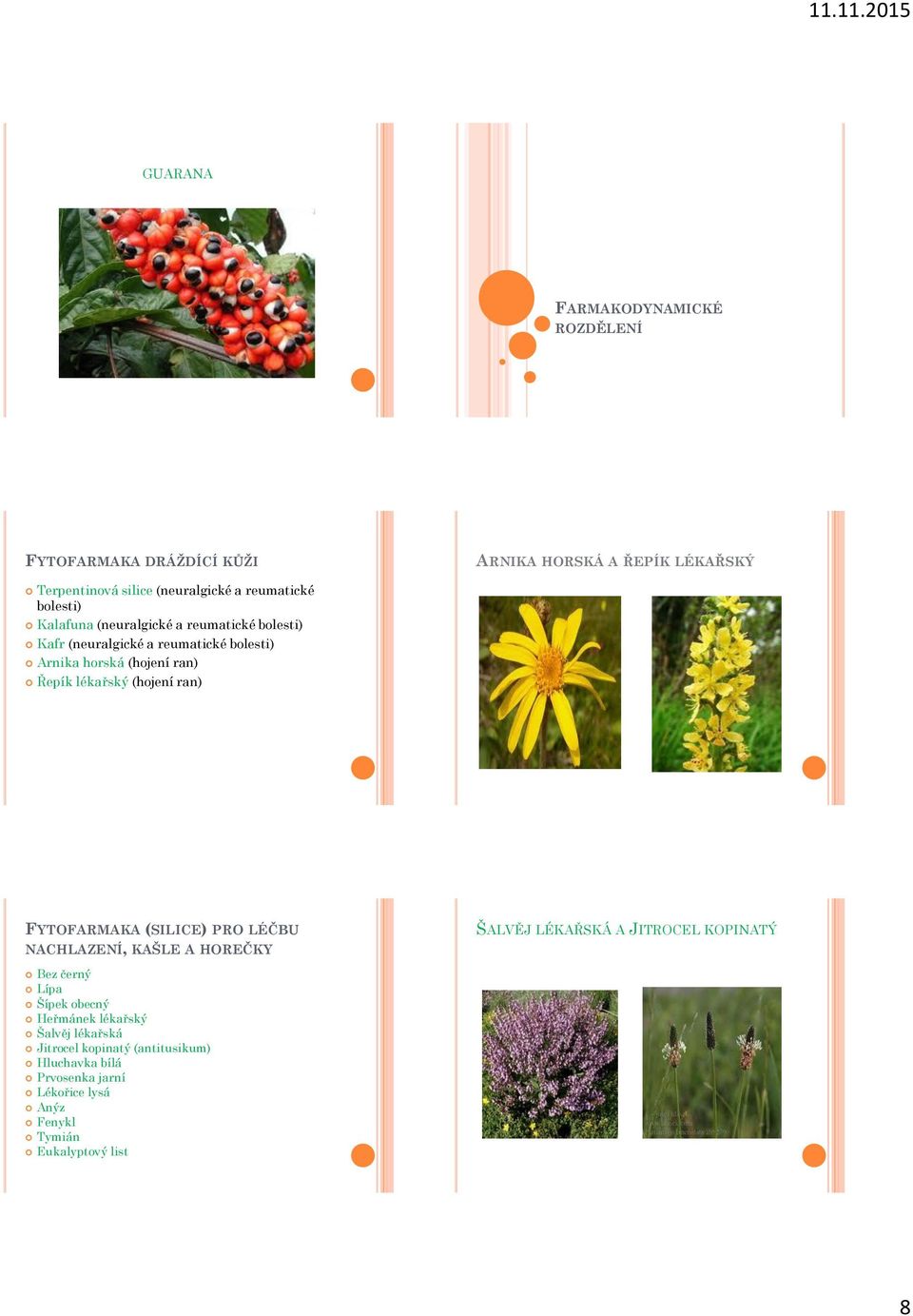(hojení ran) FYTOFARMAKA (SILICE) PRO LÉČBU NACHLAZENÍ, KAŠLE A HOREČKY ŠALVĚJ LÉKAŘSKÁ A JITROCEL KOPINATÝ Bez černý Lípa Šípek obecný