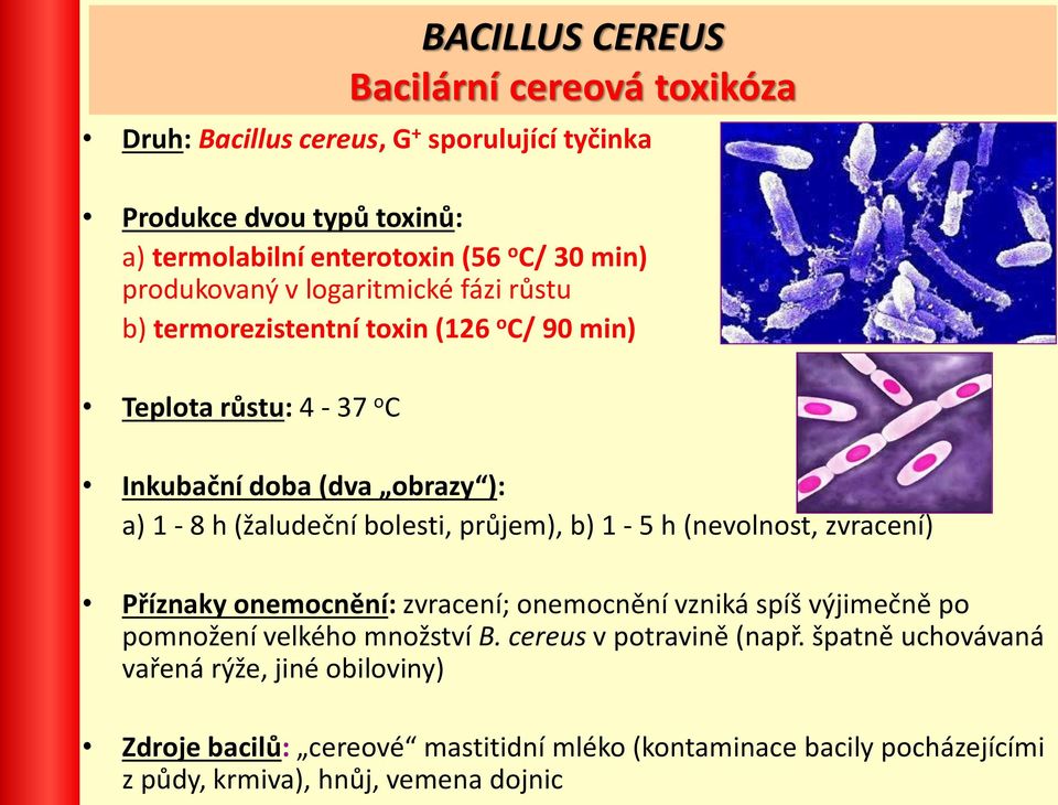 bolesti, průjem), b) 1-5 h (nevolnost, zvracení) Příznaky onemocnění: zvracení; onemocnění vzniká spíš výjimečně po pomnožení velkého množství B.