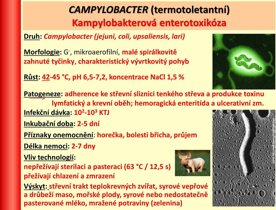 enteritída a ulcerativní zm.