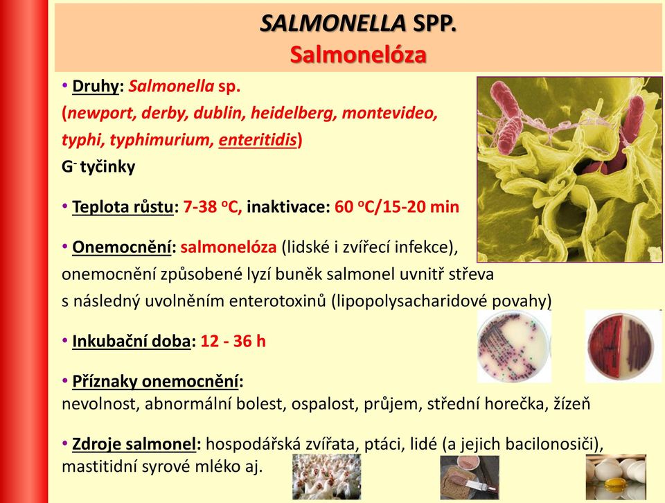 min Onemocnění: salmonelóza (lidské i zvířecí infekce), onemocnění způsobené lyzí buněk salmonel uvnitř střeva s následný uvolněním enterotoxinů