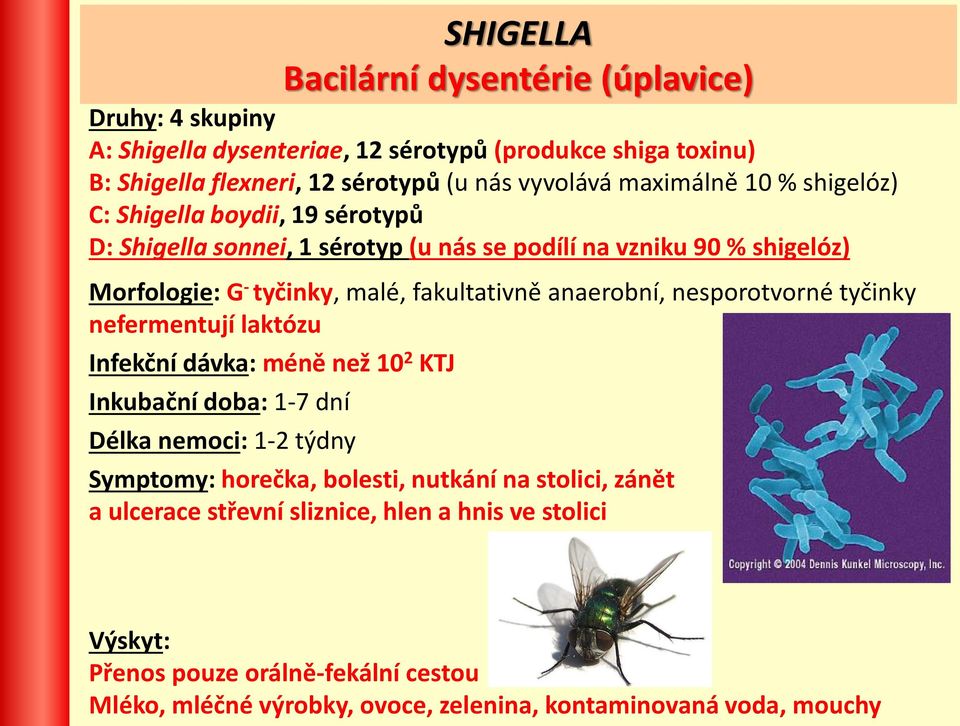 anaerobní, nesporotvorné tyčinky nefermentují laktózu Infekční dávka: méně než 10 2 KTJ Inkubační doba: 1-7 dní Délka nemoci: 1-2 týdny Symptomy: horečka, bolesti, nutkání