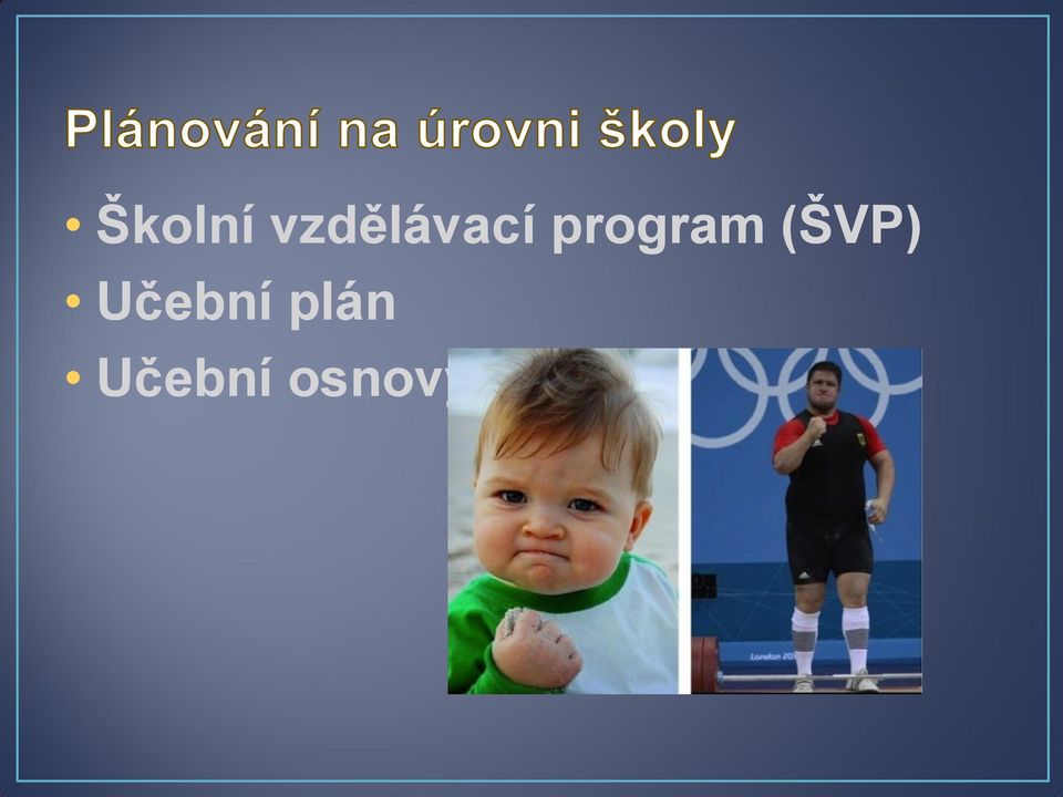 program (ŠVP)