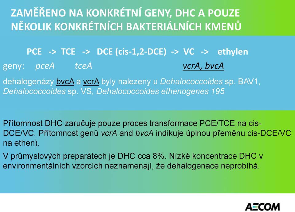 VS, Dehalococcoides ethenogenes 195 Přítomnost DHC zaručuje pouze proces transformace PCE/TCE na cis- DCE/VC.