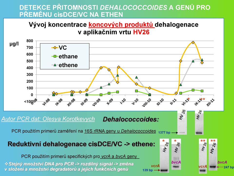 na 16S rrna geny u Dehalococcoides Reduktivní dehalogenace cisdce/vc -> ethene: 1377 bp * * ** ** PCR použitím primerů specifických pro vcra a bvca