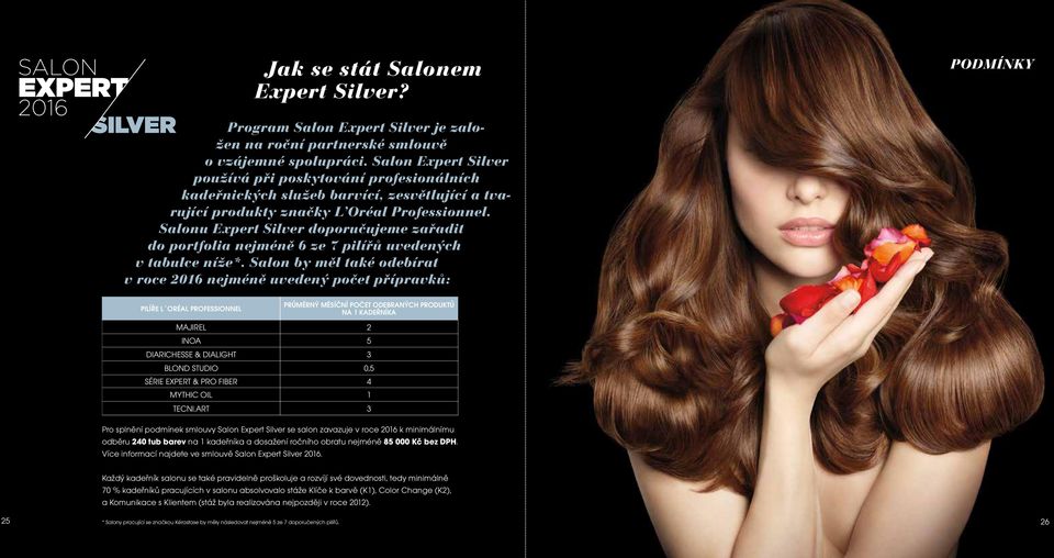 Salonu Expert Silver doporučujeme zařadit do portfolia nejméně 6 ze 7 pilířů uvedených v tabulce níže*.