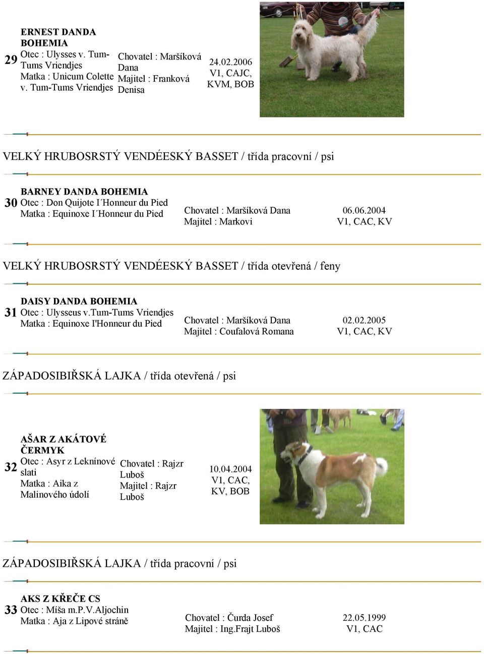 Majitel : Markovi 06.06.2004, CAC, KV VELKÝ HRUBOSRSTÝ VENDÉESKÝ BASSET / třída otevřená / feny 31 DAISY DANDA BOHEMIA Otec : Ulysseus v.