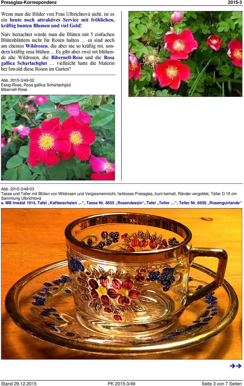 .. Es gibt aber zwei rot blühende alte Wildrosen, die Bibernell-Rose und die Rosa gallica Scharlachglut vielleicht hatte die Malerin bei Inwald diese Rosen im Garten? Abb.