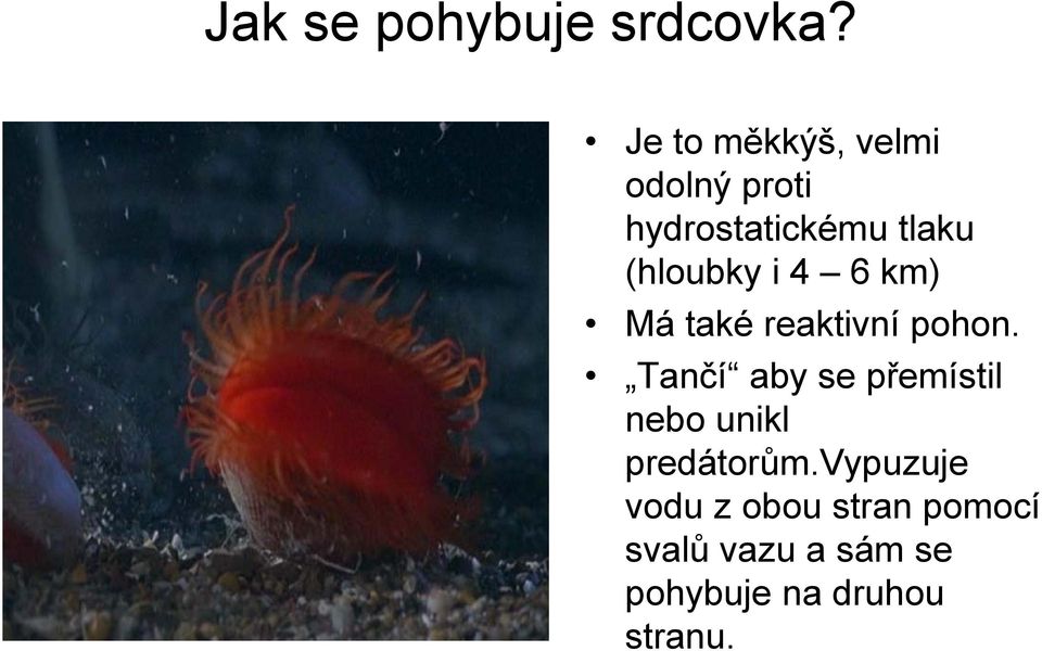 (hloubky i 4 6 km) Má také reaktivní pohon.