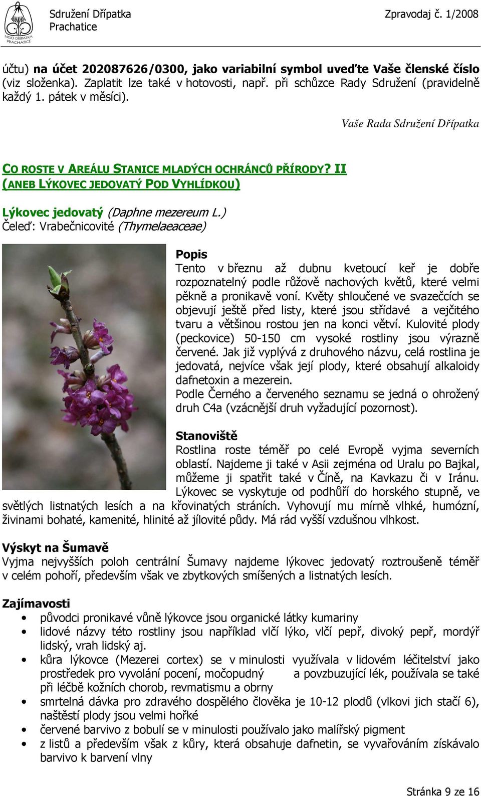 ) Čeleď: Vrabečnicovité (Thymelaeaceae) Popis Tento v březnu až dubnu kvetoucí keř je dobře rozpoznatelný podle růžově nachových květů, které velmi pěkně a pronikavě voní.