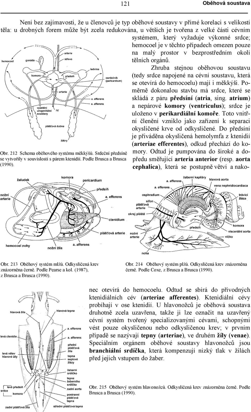 vyžaduje výkonné srdce; hemocoel je v těchto případech omezen pouze na malý prostor v bezprostředním okolí tělních orgánů.