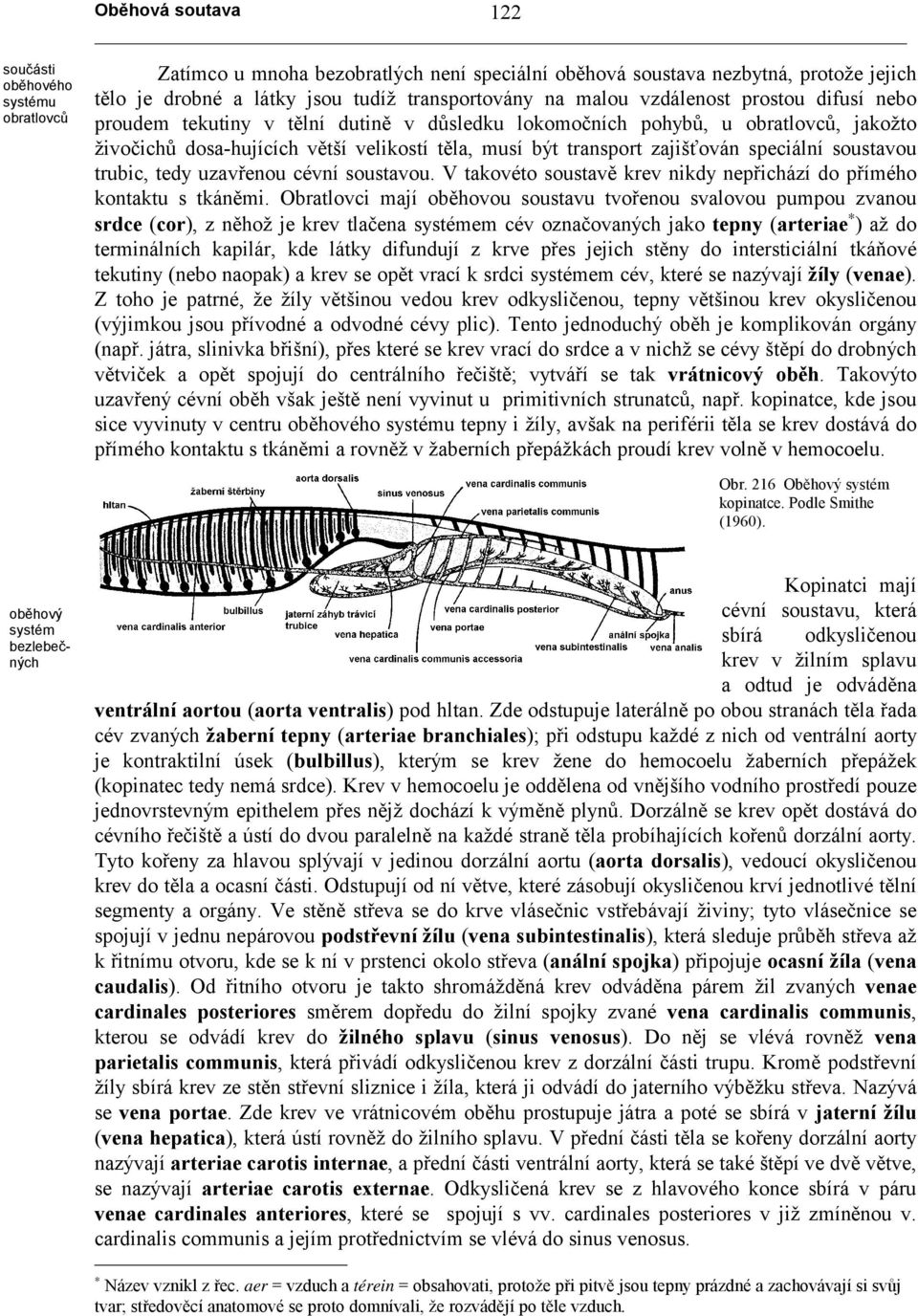 speciální soustavou trubic, tedy uzavřenou cévní soustavou. V takovéto soustavě krev nikdy nepřichází do přímého kontaktu s tkáněmi.