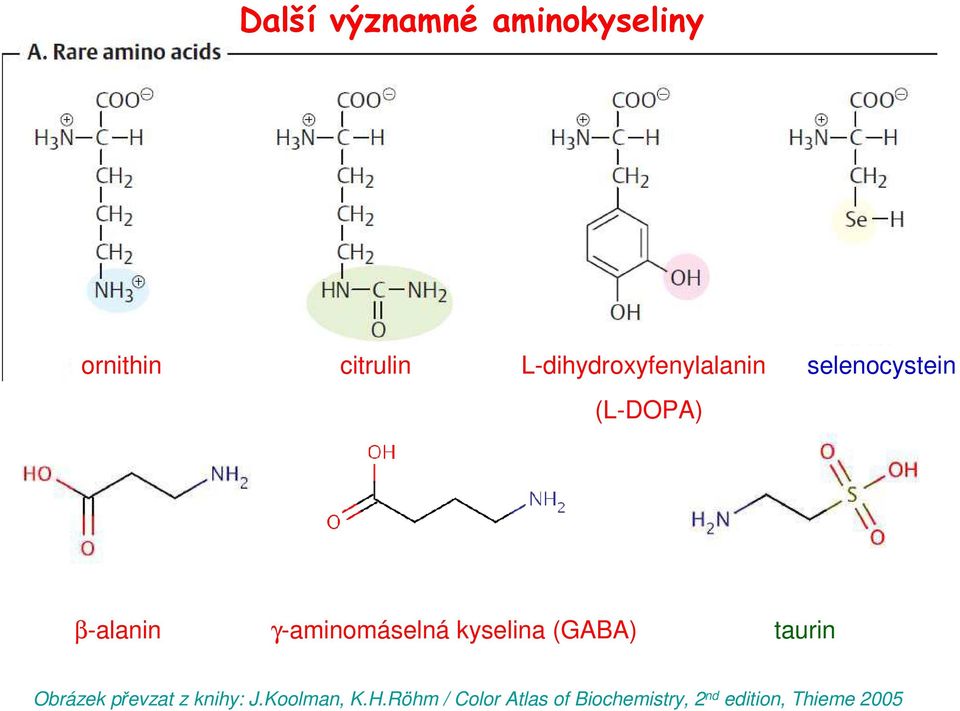 γ-aminomáselná kyselina (GABA) taurin Obrázek převzat z