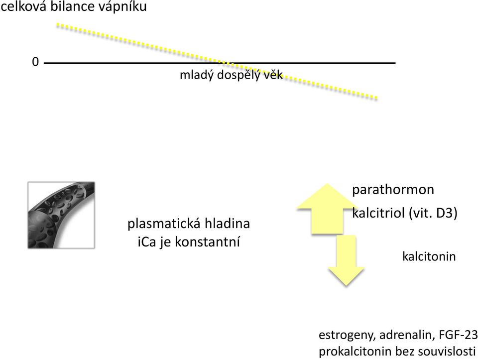 parathormon kalcitriol (vit.