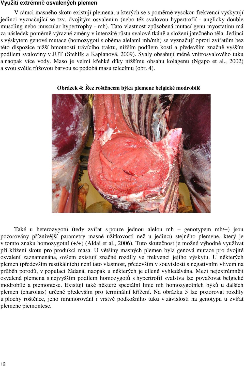 Tato vlastnost způsobená mutací genu myostatinu má za následek poměrně výrazné změny v intenzitě růstu svalové tkáně a složení jatečného těla.