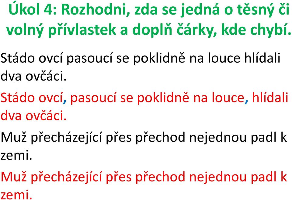 Stádo ovcí, pasoucí se poklidně na louce, hlídali dva ovčáci.