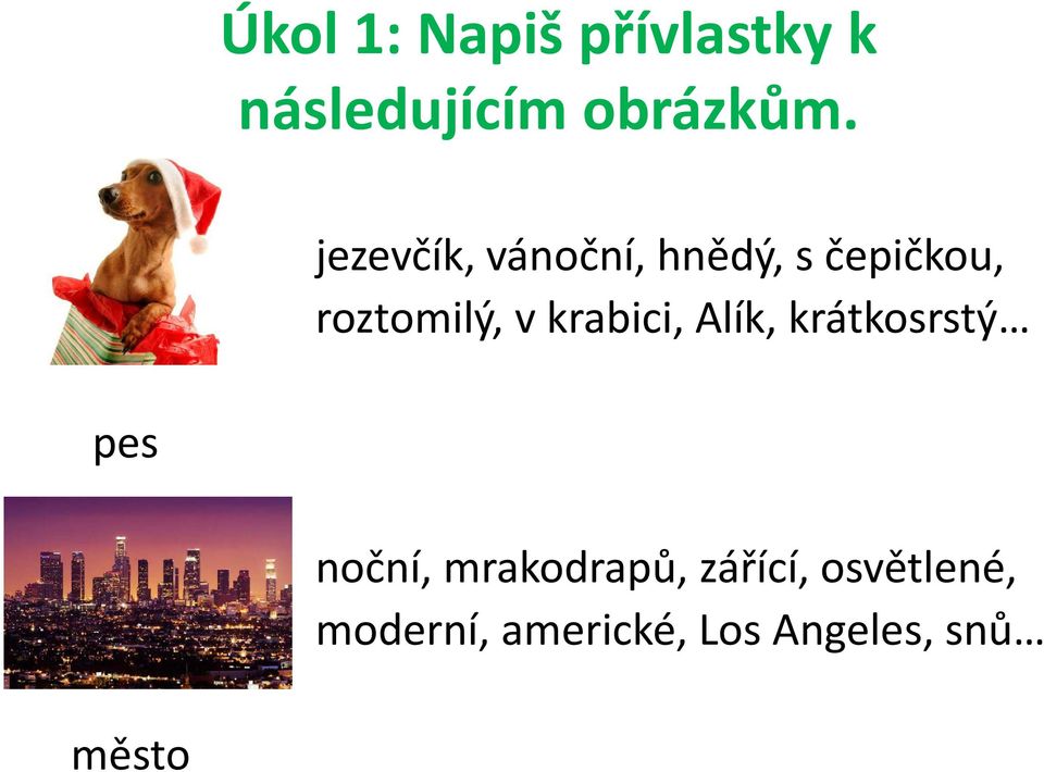 krabici, Alík, krátkosrstý pes noční, mrakodrapů,