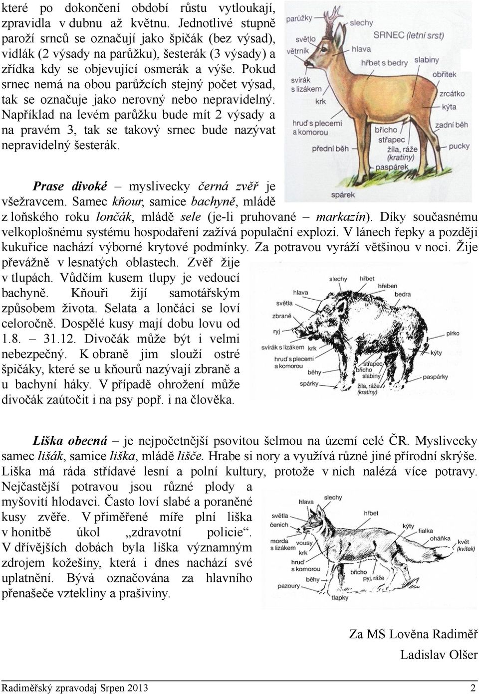 Pokud srnec nemá na obou parůžcích stejný počet výsad, tak se označuje jako nerovný nebo nepravidelný.