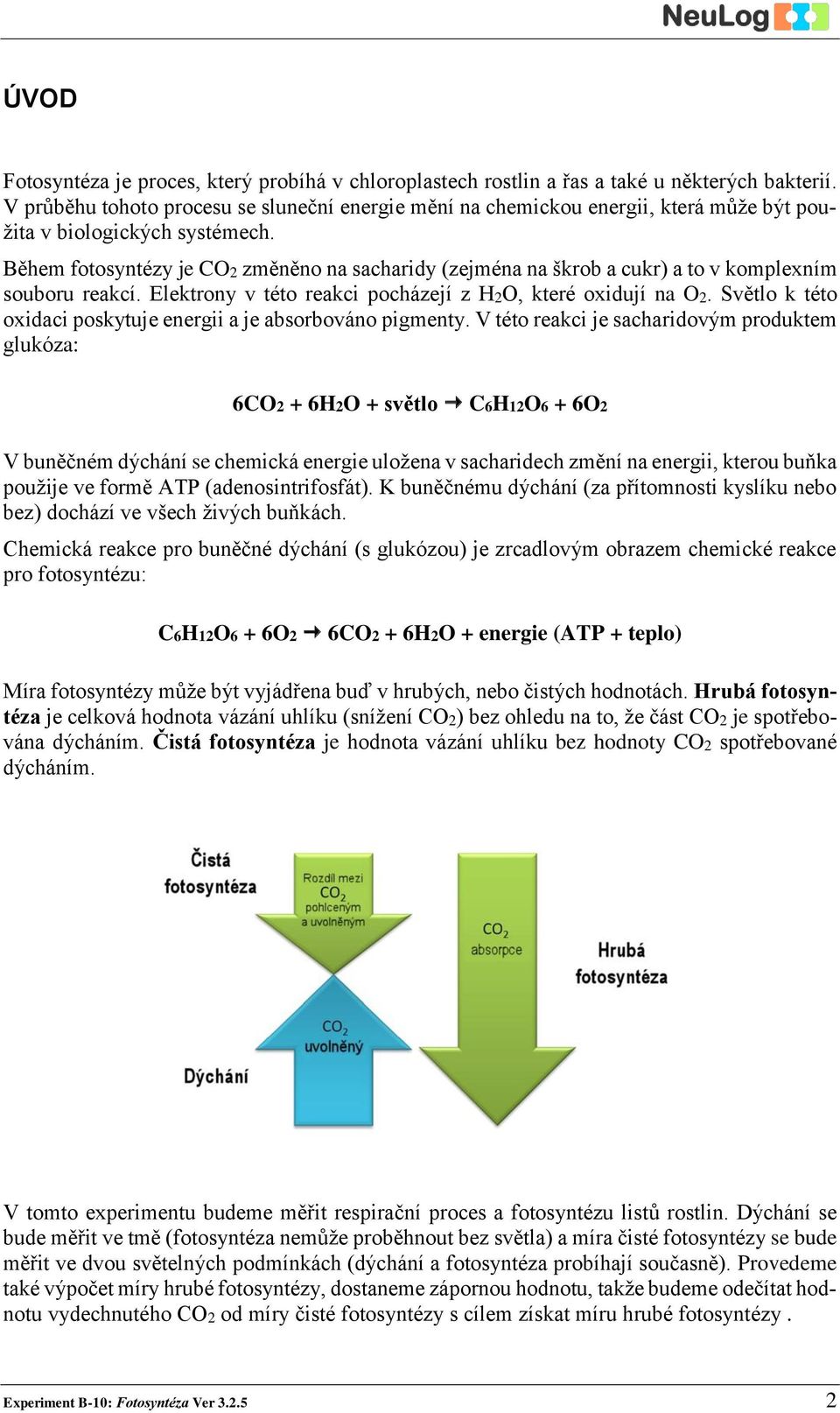 Během fotosyntézy je CO2 změněno na sacharidy (zejména na škrob a cukr) a to v komplexním souboru reakcí. Elektrony v této reakci pocházejí z H2O, které oxidují na O2.