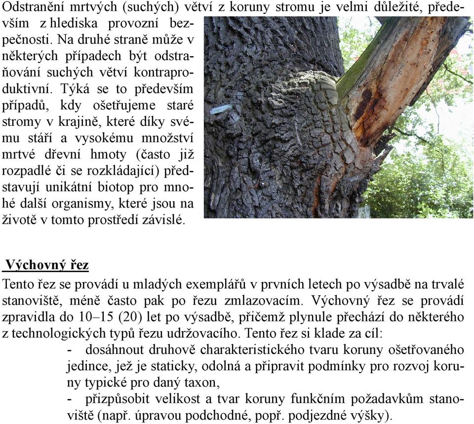 Týká se to především případů, kdy ošetřujeme staré stromy v krajině, které díky svému stáří a vysokému množství mrtvé dřevní hmoty (často již rozpadlé či se rozkládající) představují unikátní biotop