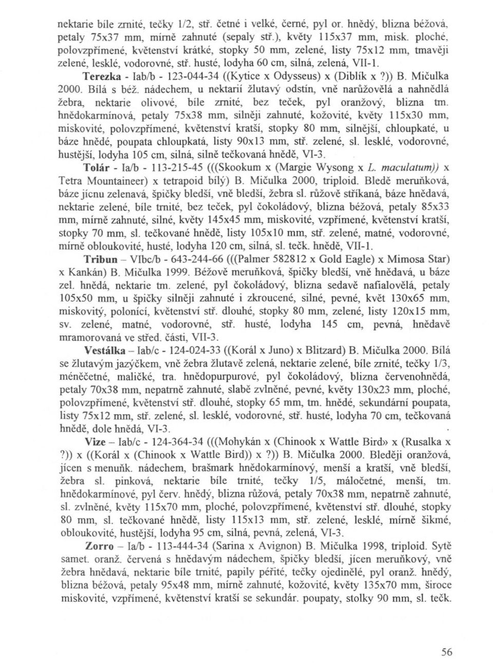 Terezka - lab/b - 123-044-34 «Kytice x Odysseus) x (Diblík x?» B. Miculka 2000. Bílá s béž.