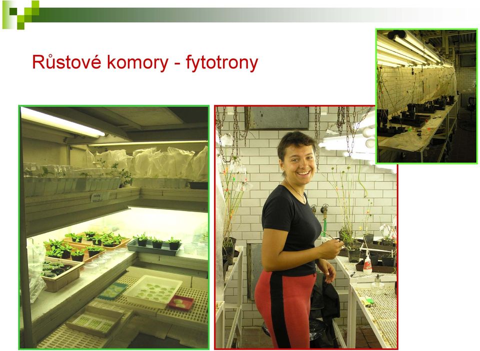 fytotrony