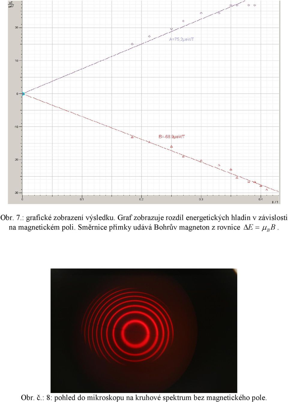 magnetickém poli.