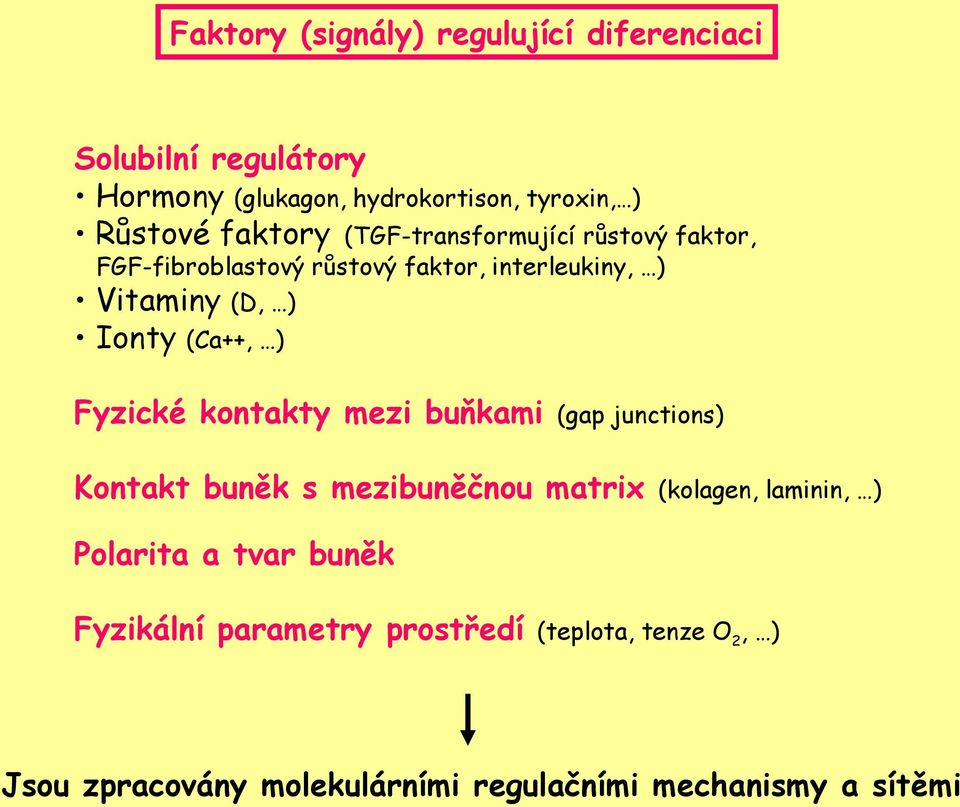 (Ca++, ) Fyzické kontakty mezi buňkami (gap junctions) Kontakt buněk s mezibuněčnou matrix (kolagen, laminin, )