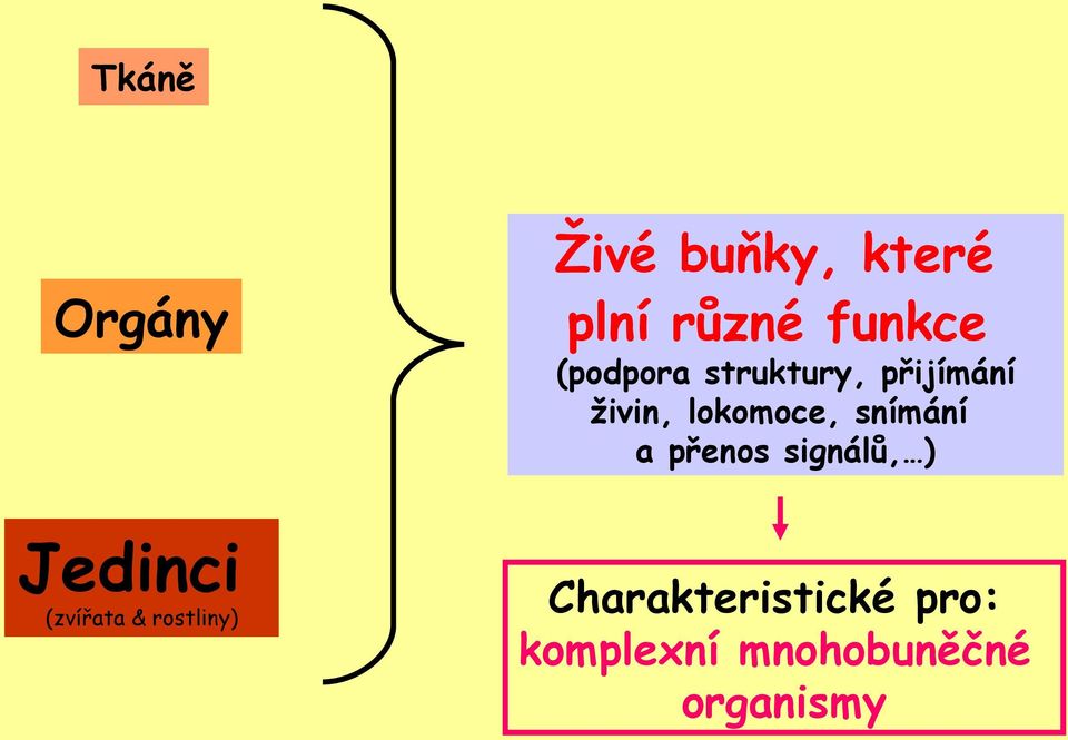 snímání a přenos signálů, ) Jedinci (zvířata &