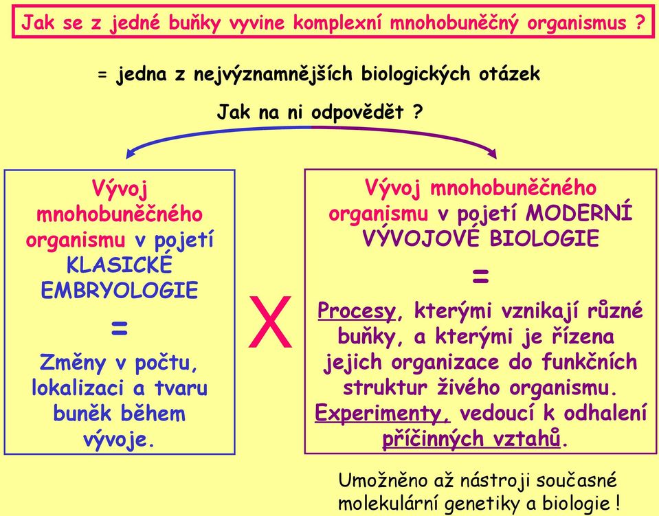 X Vývoj mnohobuněčného organismu v pojetí MODERNÍ VÝVOJOVÉ BIOLOGIE = Procesy, kterými vznikají různé buňky, a kterými je řízena jejich