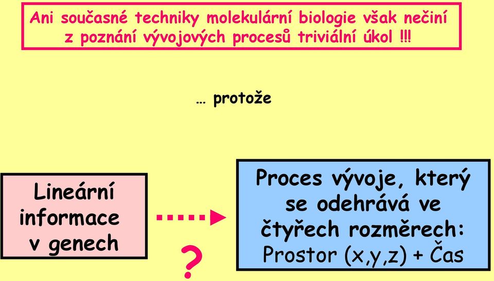 !! protože Lineární informace v genech?