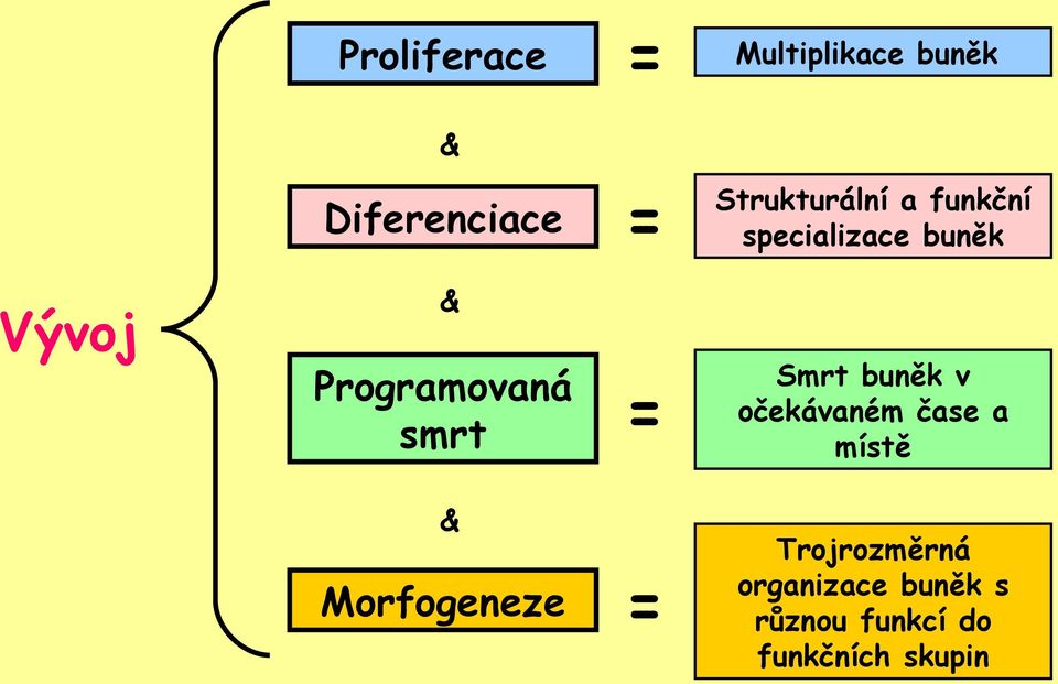 Programovaná smrt = Smrt buněk v očekávaném čase a místě &