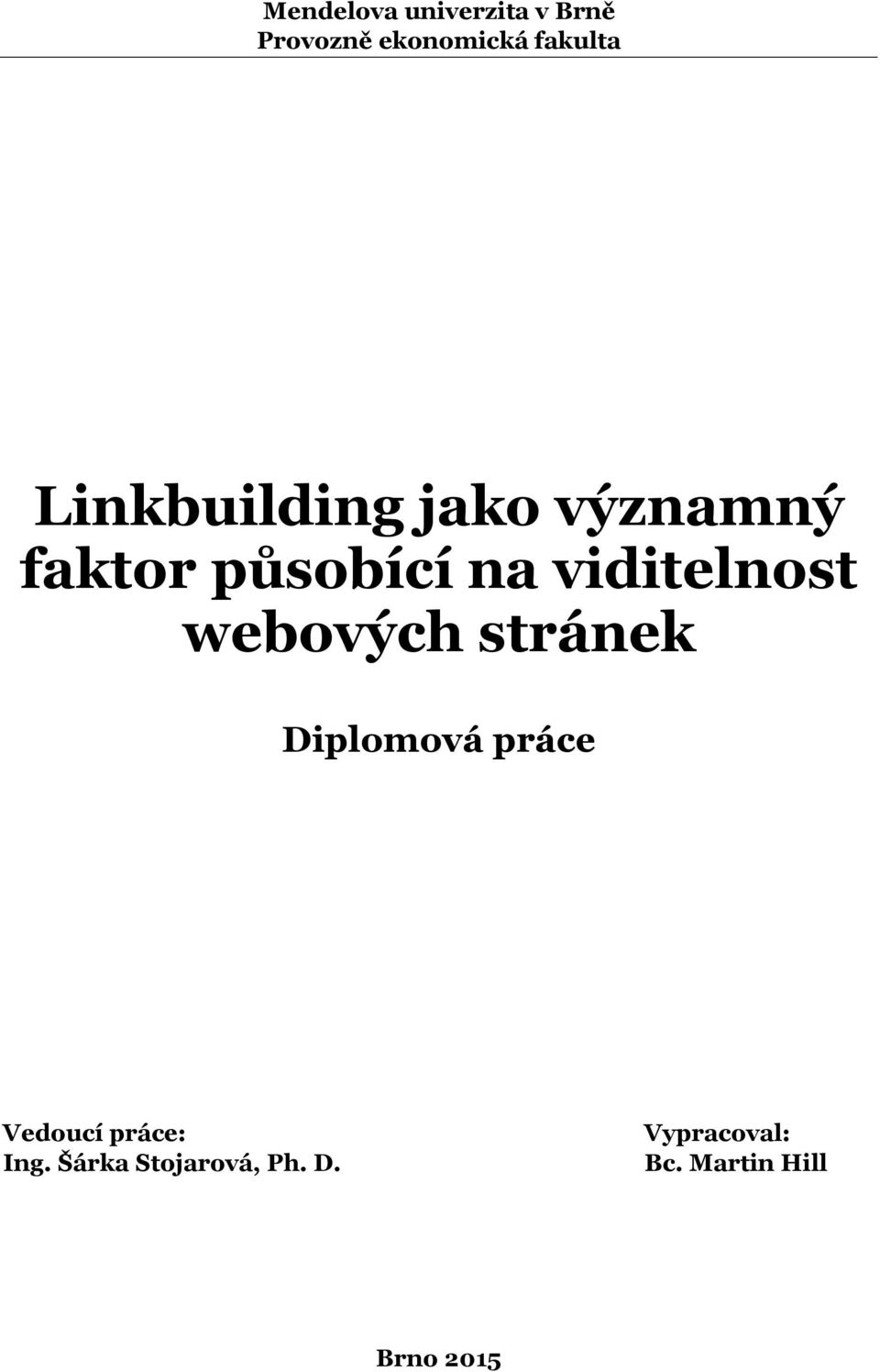 viditelnost webových stránek Diplomová práce Vedoucí