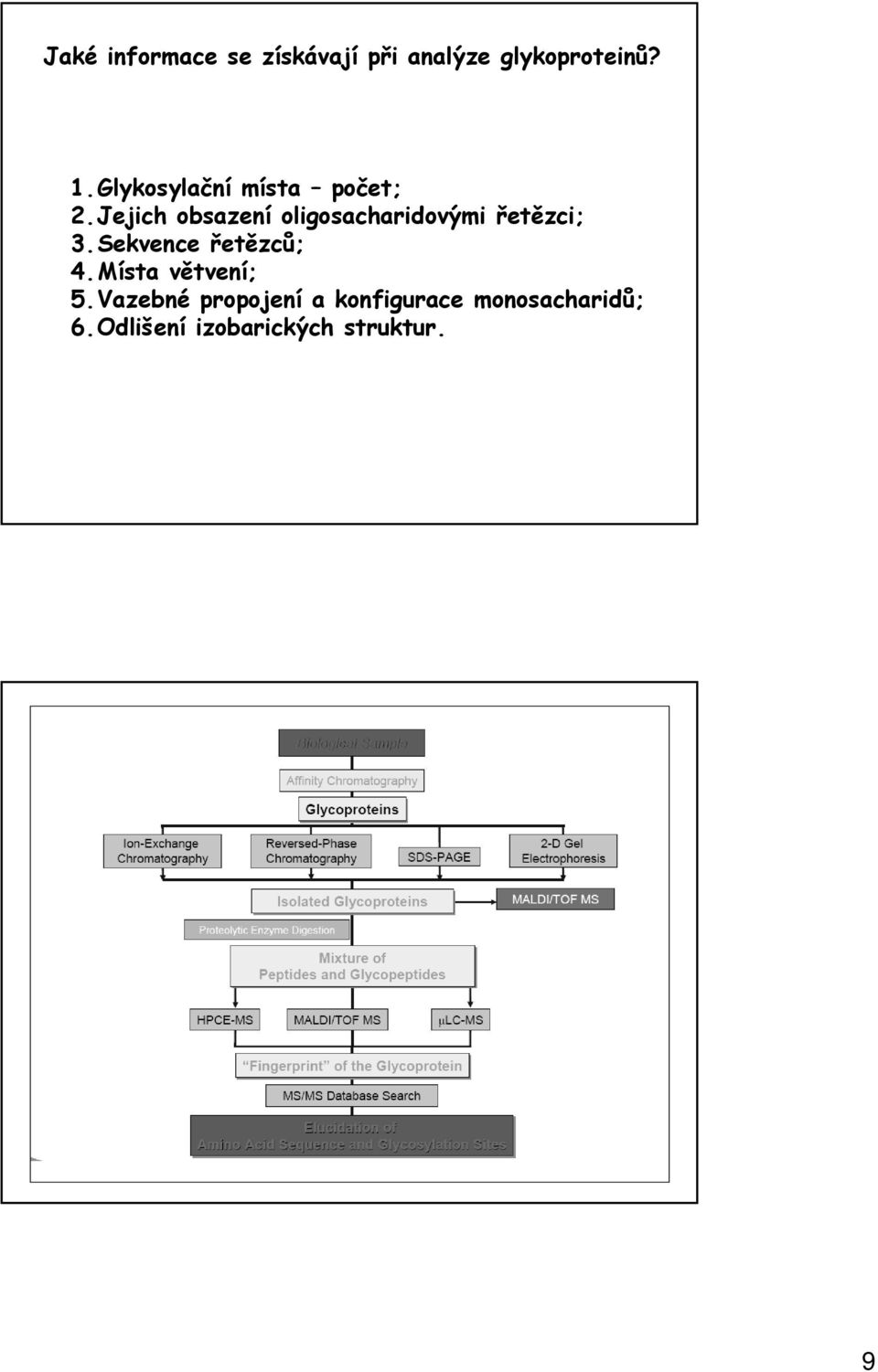 Jejich obsazení oligosacharidovými řetězci; 3.