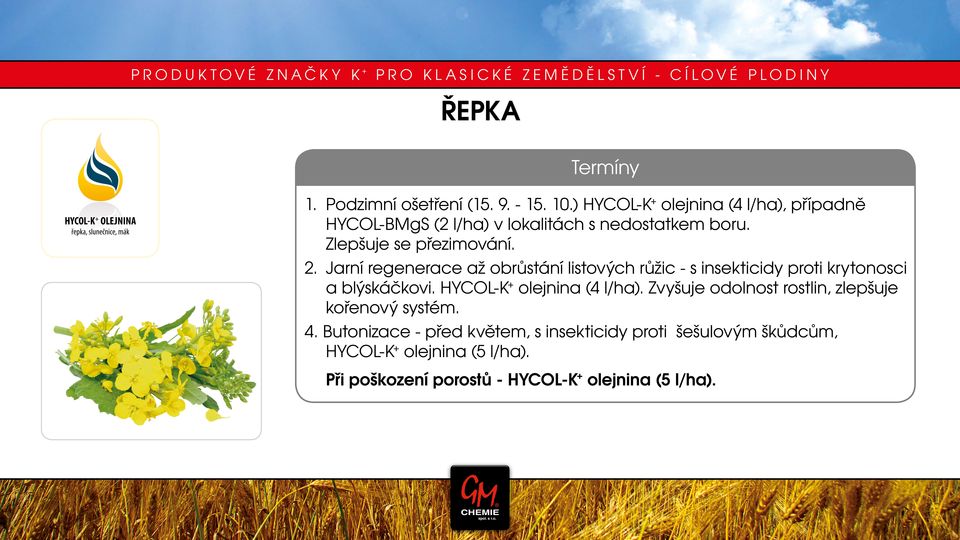 Jarní regenerace až obrůstání listových růžic - s insekticidy proti krytonosci a blýskáčkovi. HYCOL-K + olejnina (4 l/ha).