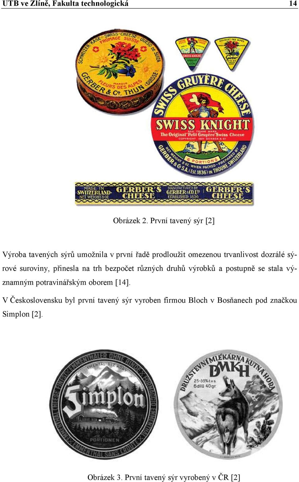 sýrové suroviny, přinesla na trh bezpočet různých druhů výrobků a postupně se stala významným