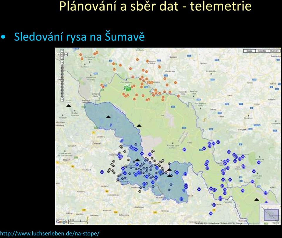 rysa na Šumavě