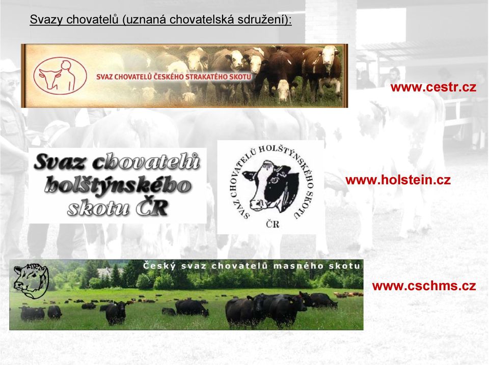 sdružení): www.cestr.