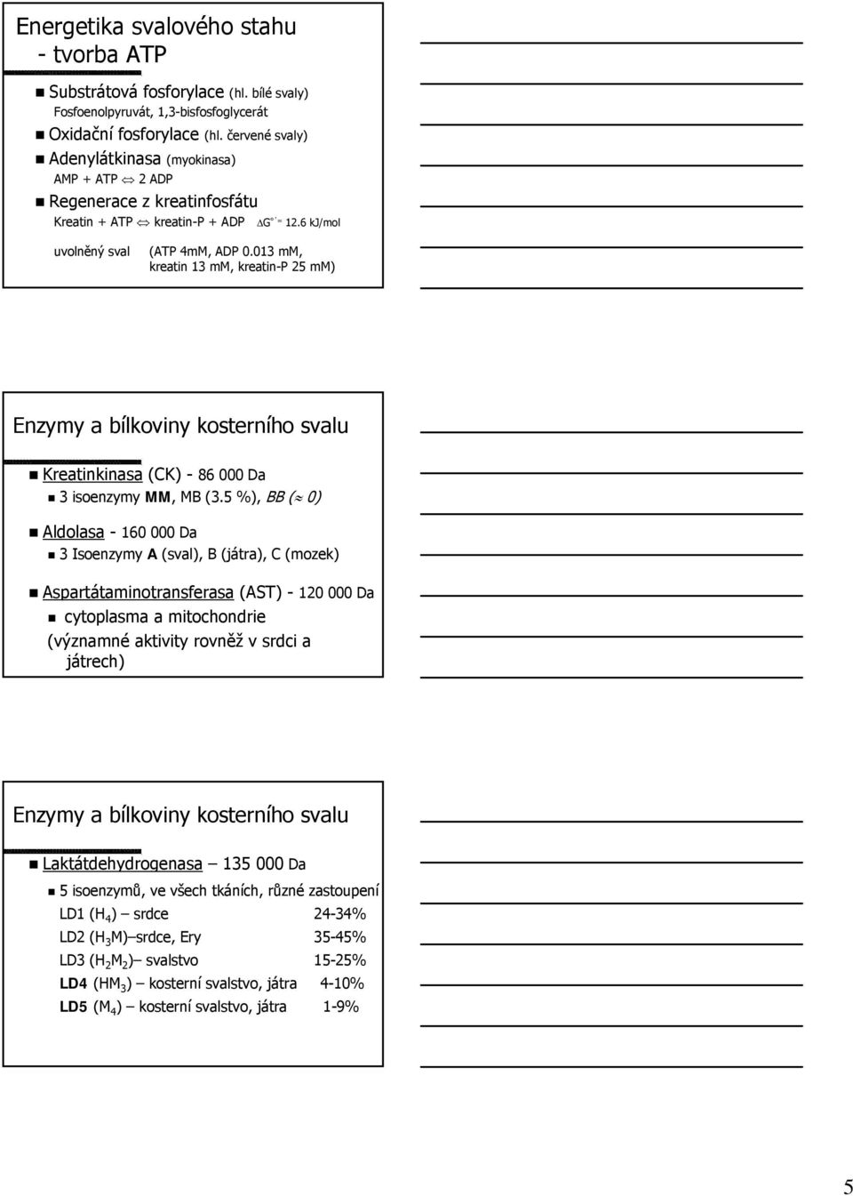 013 mm, kreatin 13 mm, kreatin-p P 25 mm) Enzymy a bílkoviny kosterního svalu Kreatinkinasa (CK) - 86 000 Da 3 isoenzymy MM,, MB (3.