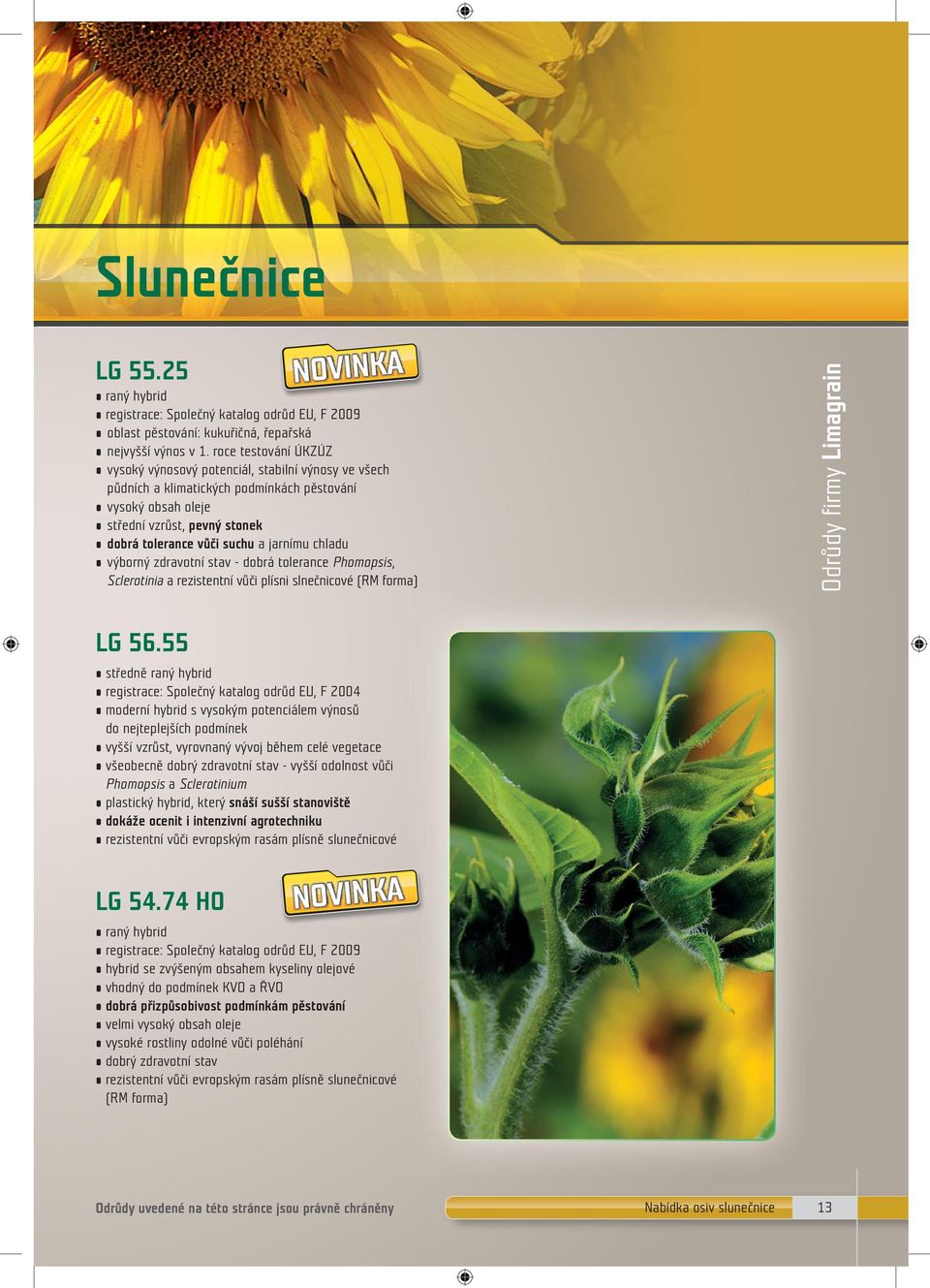 jarnímu chladu výborný zdravotní stav - dobrá tolerance Phomopsis, Sclerotinia a rezistentní vůči plísni slnečnicové (RM forma) Odrůdy firmy Limagrain LG 56.