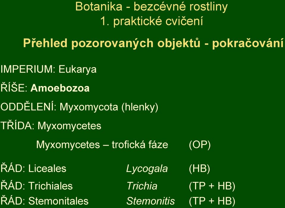 Eukarya ŘÍŠE: Amoebozoa ODDĚLENÍ: Myxomycota (hlenky) TŘÍDA: Myxomycetes