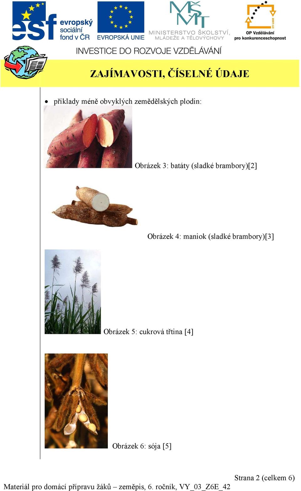 brambory)[2] Obrázek 4: maniok (sladké brambory)[3]