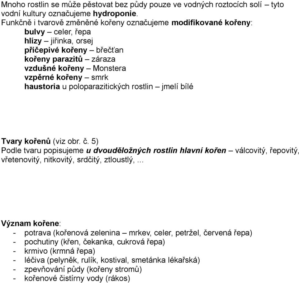 haustoria u poloparazitických rostlin jmelí bílé Tvary kořenů (viz obr. č.