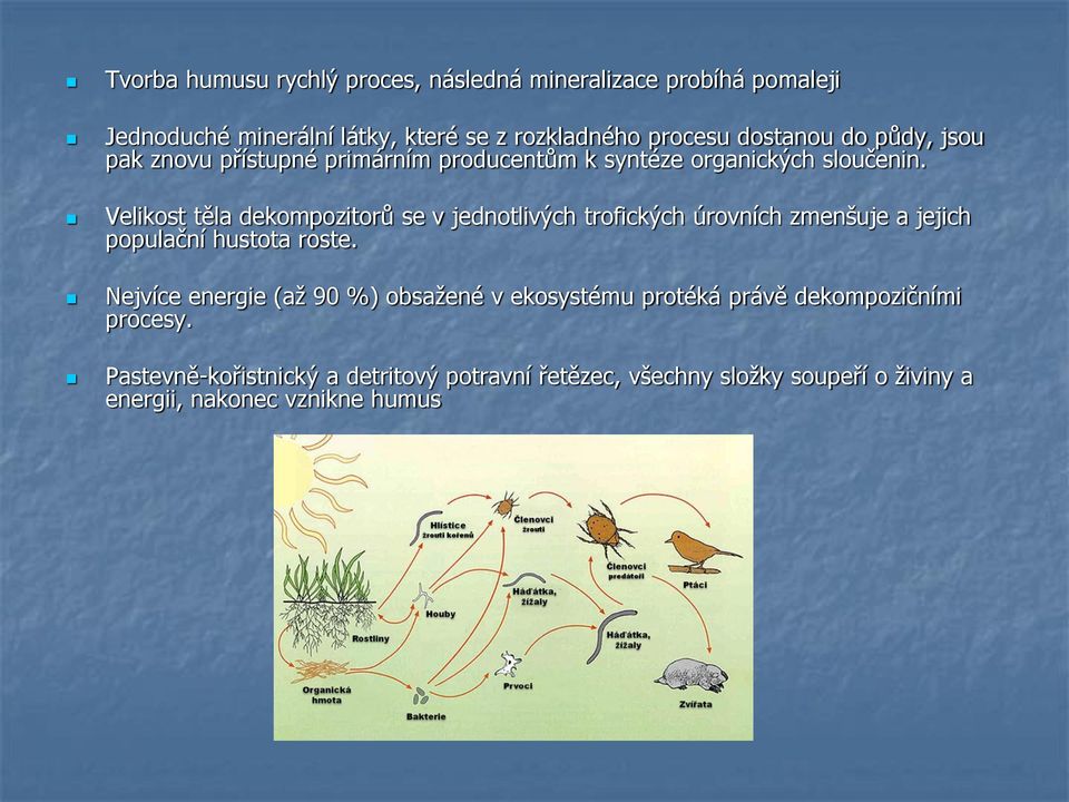 Velikost těla dekompozitorů se v jednotlivých trofických úrovních zmenšuje a jejich populační hustota roste.