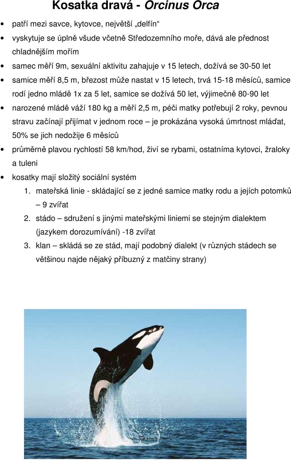 narozené mládě váží 180 kg a měří 2,5 m, péči matky potřebují 2 roky, pevnou stravu začínají přijímat v jednom roce je prokázána vysoká úmrtnost mláďat, 50% se jich nedožije 6 měsíců průměrně plavou