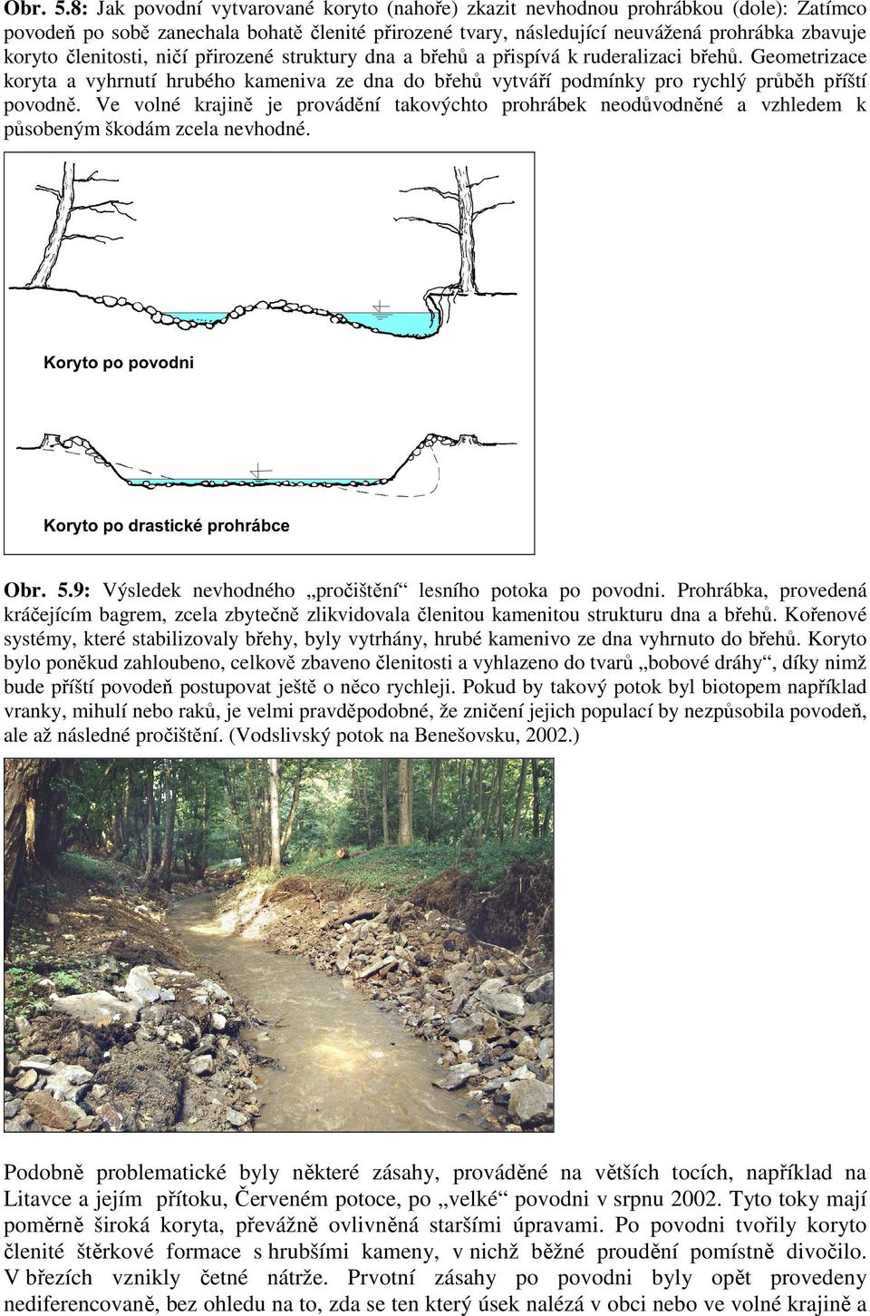 členitosti, ničí přirozené struktury dna a břehů a přispívá k ruderalizaci břehů. Geometrizace koryta a vyhrnutí hrubého kameniva ze dna do břehů vytváří podmínky pro rychlý průběh příští povodně.